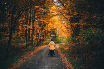 Autumn's beauty: A young mother gently rocks her child to sleep in a pram amidst vibrant fall foliage