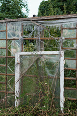Abandoned Greenhouse Veiled in Nature's Embrace