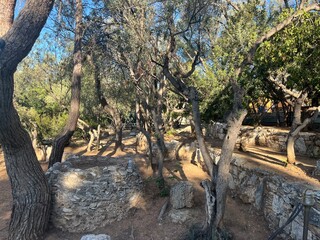 Ancient Ruins in Forest – Historic stone structures surrounded by olive trees and woodland paths,...