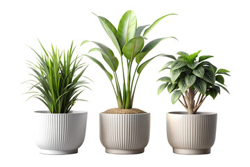 Realistic minimal houseplant pots, isolated on a transparent background png