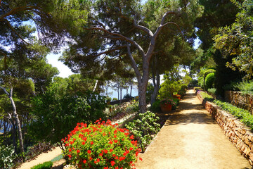 path with many flowers, plants, pines and succulents in the botanical garden Jardins de Cap Roig, Calella de Palafrugell, Costa Brava, Girona, Catalonia, Spain