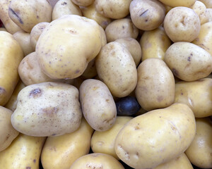 Variety od potatoes at a market stand