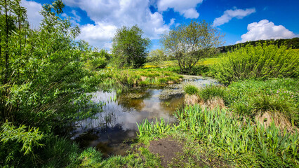 Schoflocher Moor