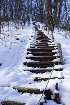 snowed stairs at yamanashi