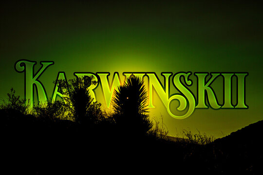 Karwinskii - Cuishe