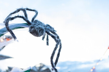 Black hairy spider hanging on a white string with a blurred background