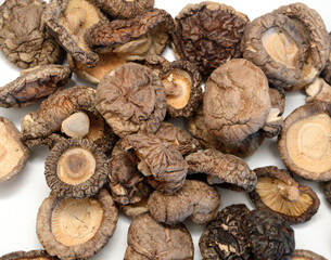 Dried shiitake mushrooms on white background