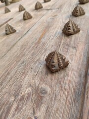 Texture of the old gate with metal rivets