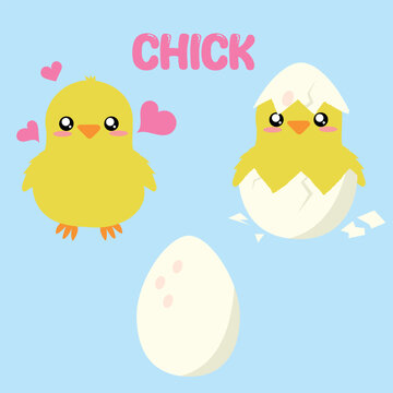 ilustracion de pollito amarillo tierno de granja con un huevo y saliendo del cascaron