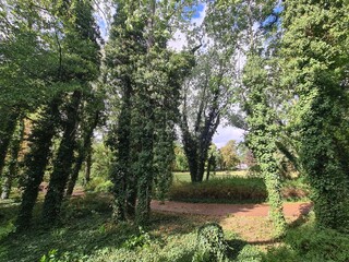 eine Parkanlage mit Bäumen in Berlin Köpenick