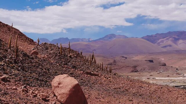 Vista a&eacute;rea do Vale dos Cactos no Deserto do atacama - Chile
