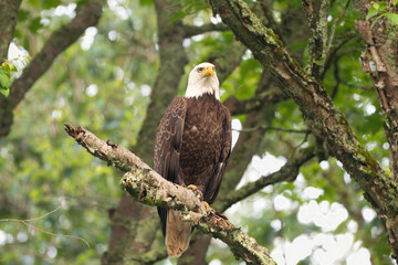 Birds I photographed in New York