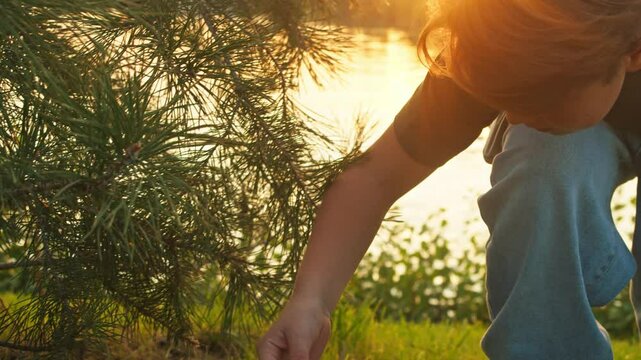 Young boy, while playing in the park, accidentally discovers a bag of marijuana that had been hidden by drug users under a tree.