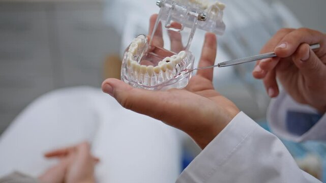 Closeup dentist using dental model to explain oral cavity problem in stomatology