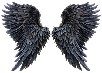 Obraz premium A pair of long, extended black angel wings, separated at the scale, are isolated against a white background