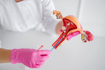 A female doctor shows medical students the process of taking smears with a cytological brush on an anatomical model of the uterus