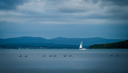The photo shows a lakeside view located in Ken Lambkin Reserve