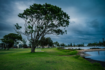 The photo shows a lakeside view located in Ken Lambkin Reserve