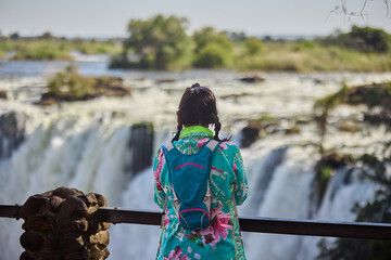 Victoria Falls, one of the Seven Natural Wonders of the World, is a breathtaking sight located on...