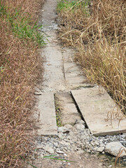 old concrete plate on the ground in the forest