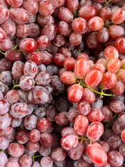 Fototapeta premium fresh ripe red grapes in market