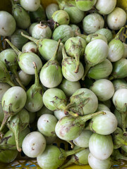 fresh green eggplant in the market