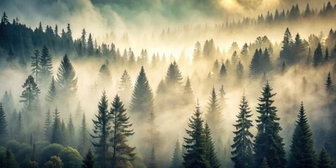 Papier peint photo Forêt brumeuse Foggy landscape featuring a vintage-inspired fir forest, retro, vintage, hipster, foggy, landscape, nature, trees, forest  © sawaratch