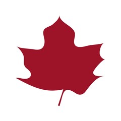 Leaf clip art design on plain white transparent isolated background for card, shirt, hoodie, sweatshirt, apparel, tag, mug, icon, poster or badge