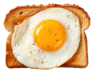 PNG Toast with fried egg bread food white background.