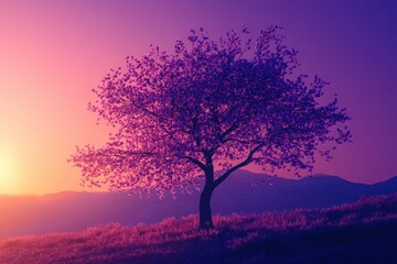Vibrant cherry blossom tree at sunset
