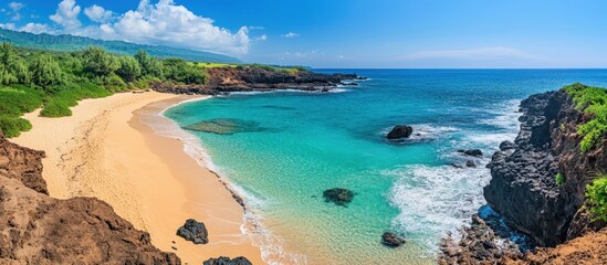 Obraz premium Stunning tropical beach with crystal clear turquoise waters