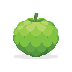 Sugar apple fruit isolated flat vector illustration on white background.