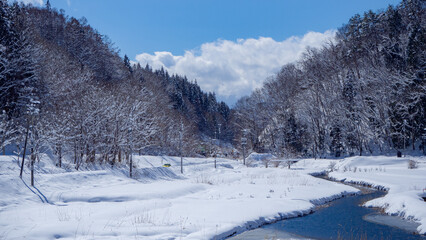 凍結、雪が積もった冬の中綱湖　長野県大町市
