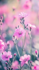 Fototapeta premium focus photography of pink delphimium flowers
