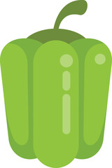 Green bell pepper standing upright on a plain white background