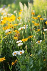 Obraz premium Vibrant wildflower meadow in summer