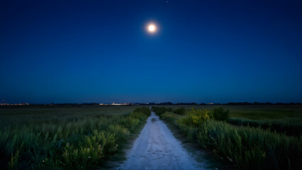 path to the sky