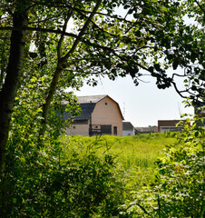 wooden cabins in an old vintage surrounded by lush green nature on a sunny day