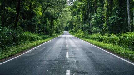 Empty Road Through Lush Forest