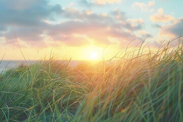 Naklejka premium Sunset over the sea with grass in foreground. Beautiful nature background