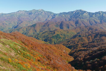 谷の紅葉と白山