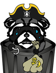 Sad Pirate Raccoon