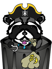 Silly Pirate Raccoon