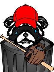 Sad Baseball Raccoon
