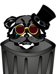 Sad Steampunk Raccoon