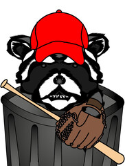 Angry Baseball Raccoon