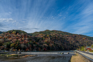 Autumn in the forest In Japan