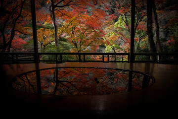 autumn leaves in Japan