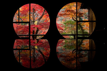 autumn leaves in Japan
