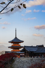 Obraz premium 京都の紅葉